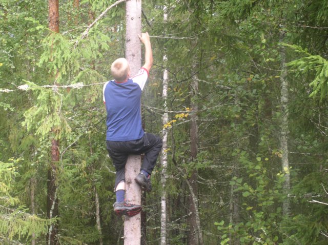 jrjestkrgemaleronitakse.jpg