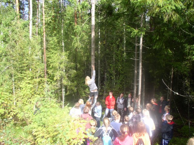 katdrukudproovivadkrgusi.jpg