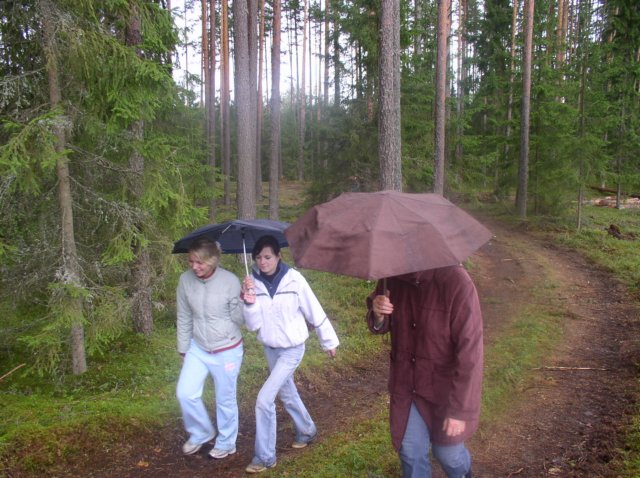 seenemikudvihmatrotsimas.jpg